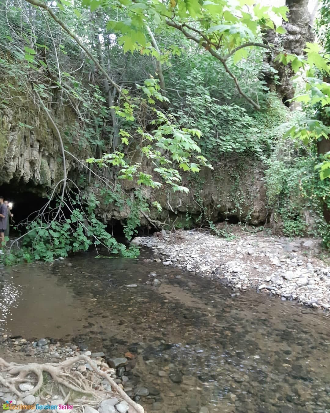 Ağlayan Mağara Dikili İzmir