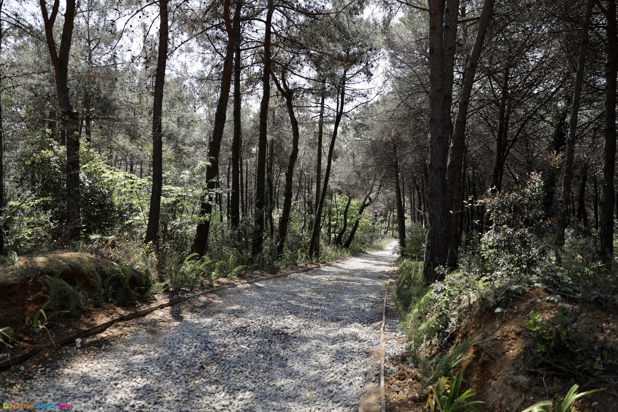 Atatürk Kent Ormanı Yürüyüş Yolu