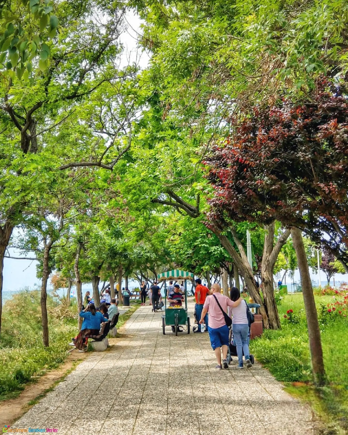 Fenerbahçe Parkı