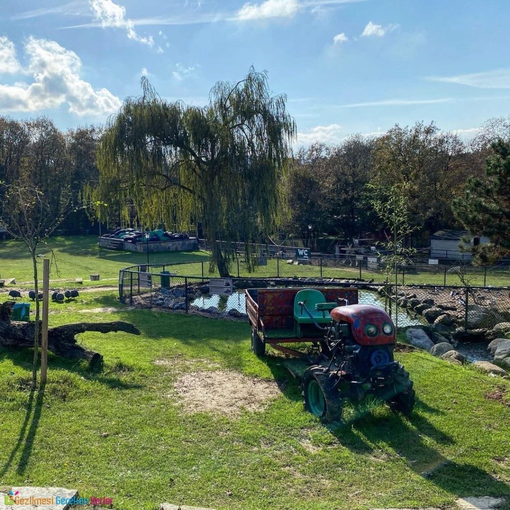 Polonezköy Zoo Doğal Yaşam Parkı