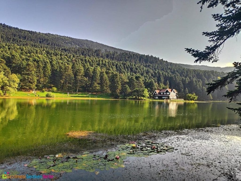 Abant Gölü Tabiat Parkı - Bolu