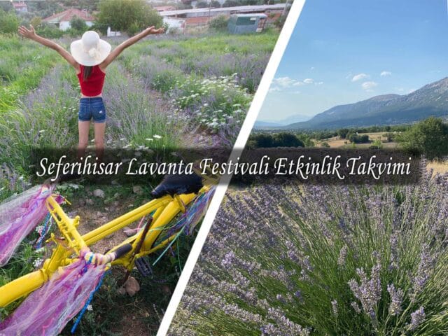 Seferihisar Lavanta Festivali | 2022 Etkinlik Takvimi