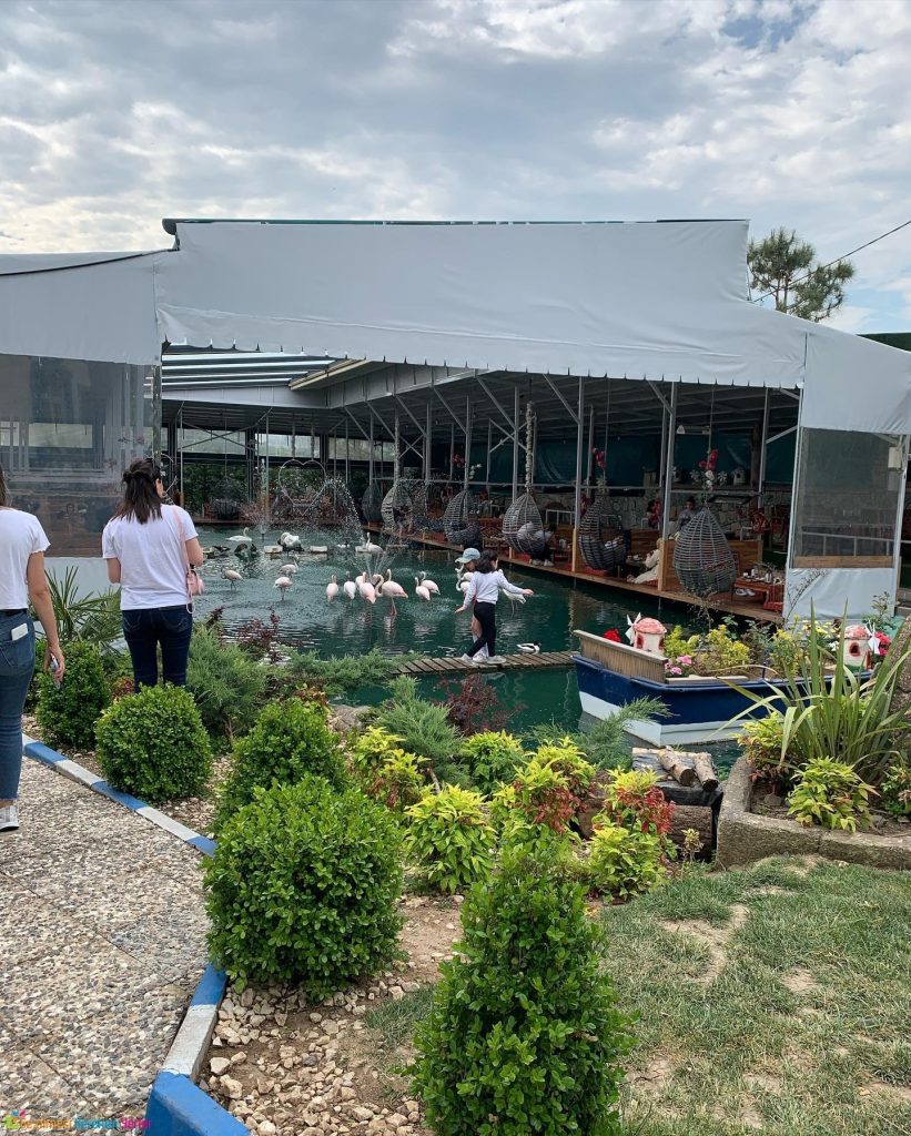 Kuğu Köy (Alibaba Garden) - Tuzla