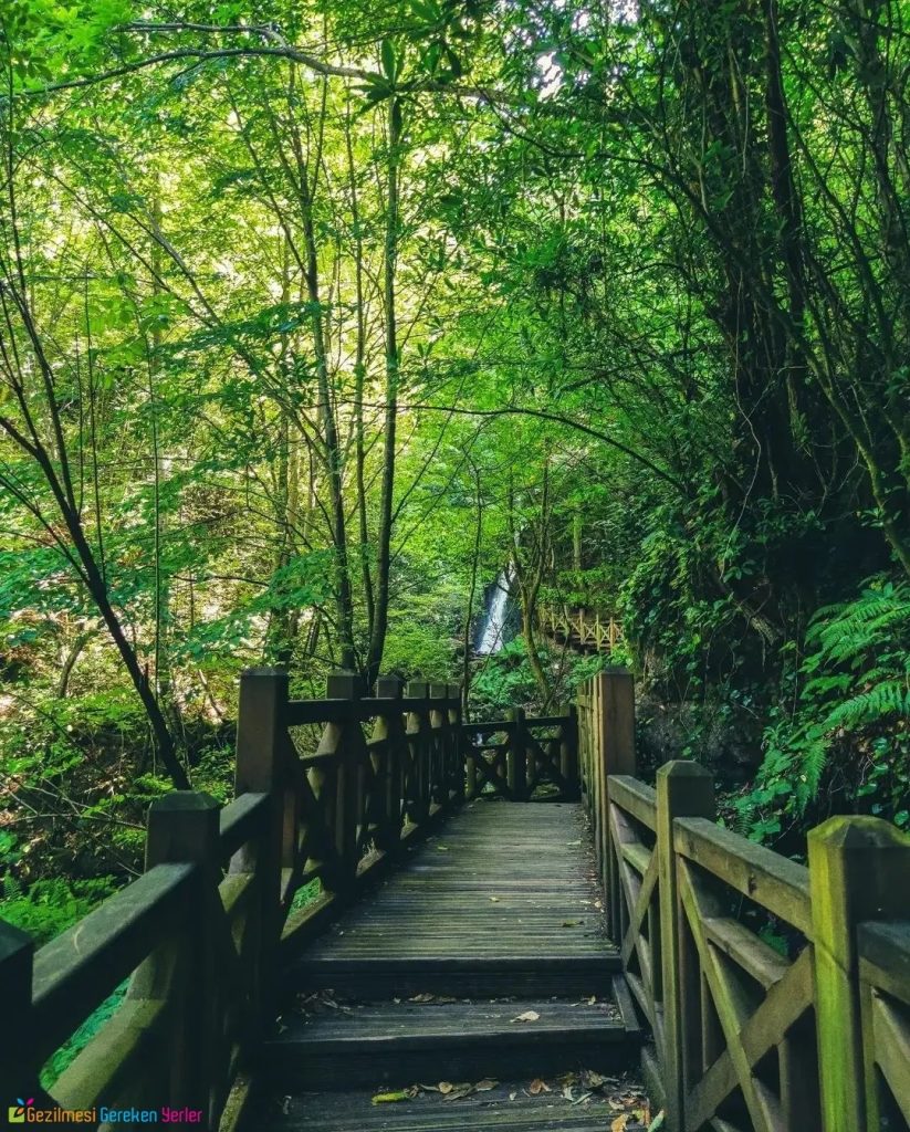 Aydınpınar Şelalesi Tabiat Parkı