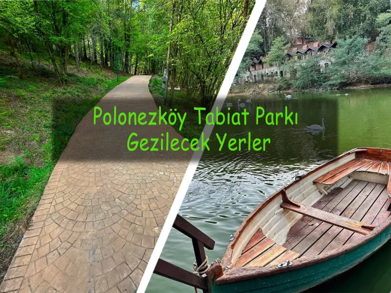 Polonezköy Tabiat Parkı Nerede | Piknik ve Kahvaltı Yerleri