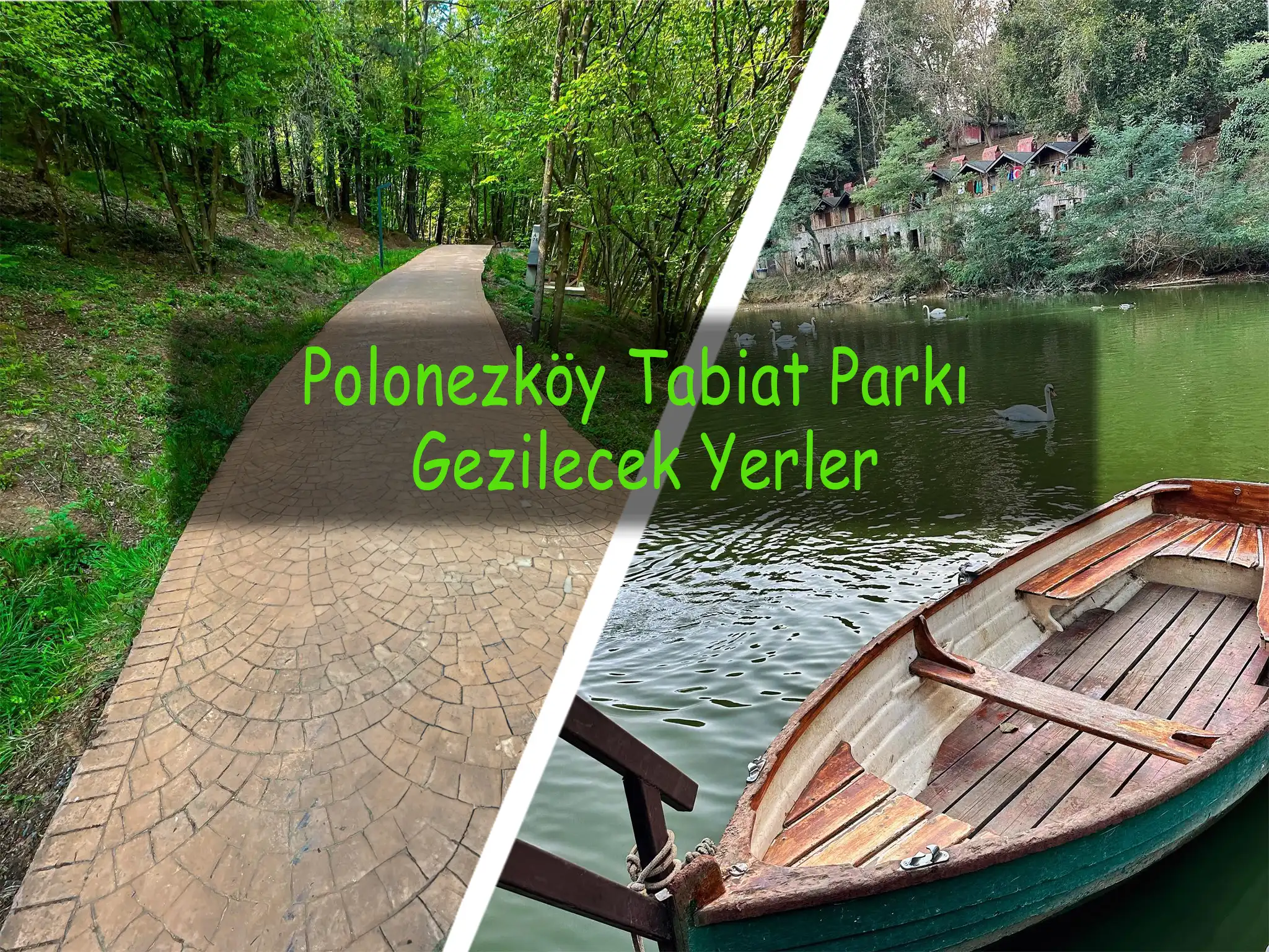 Polonezköy Tabiat Parkı Piknik Alanları - İstanbul