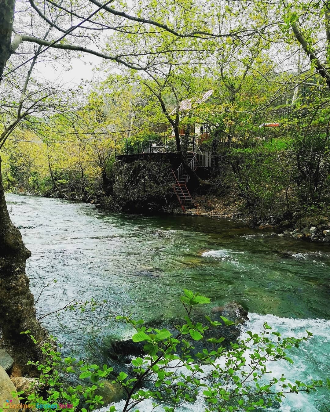 Mehmetalan Köyü