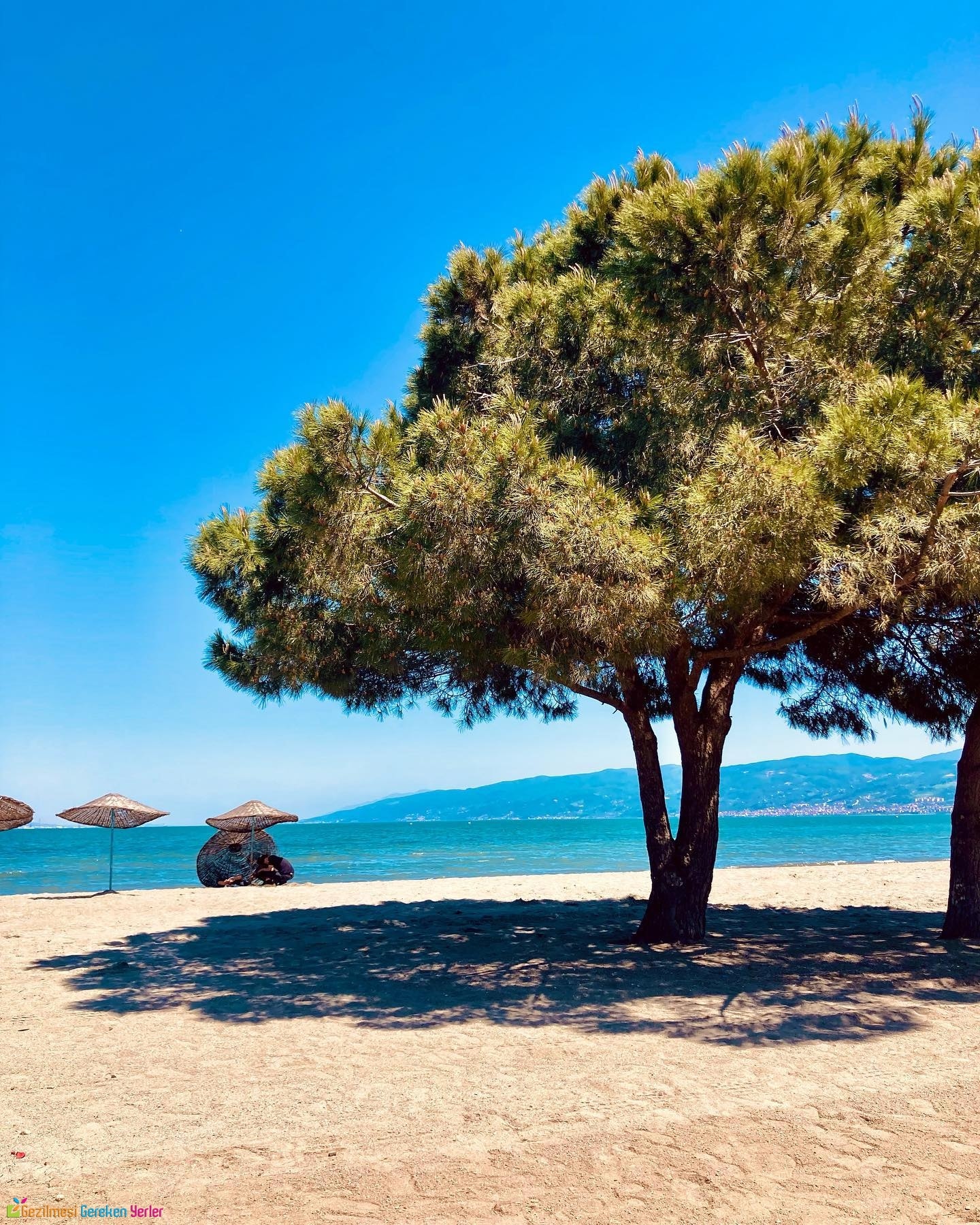 Altınova Hersek Plajı