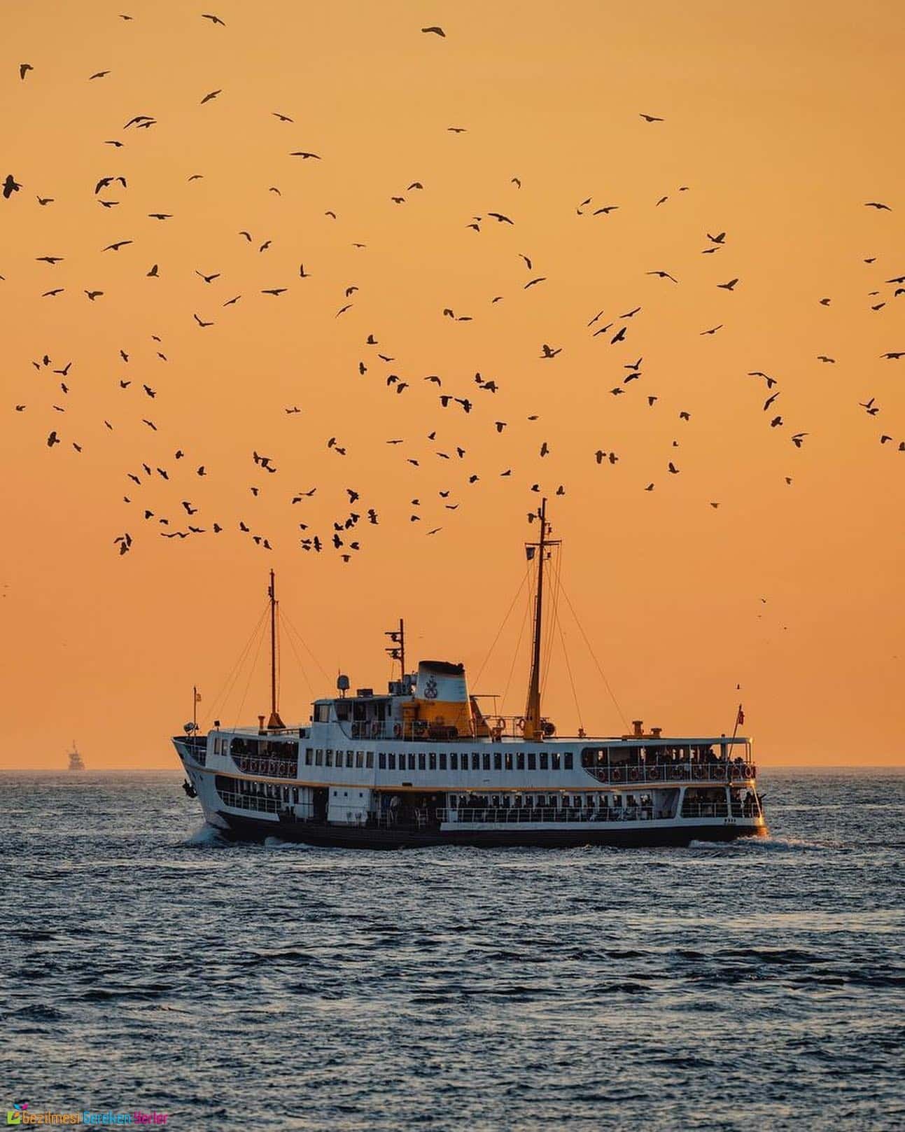 Boğaz Turu