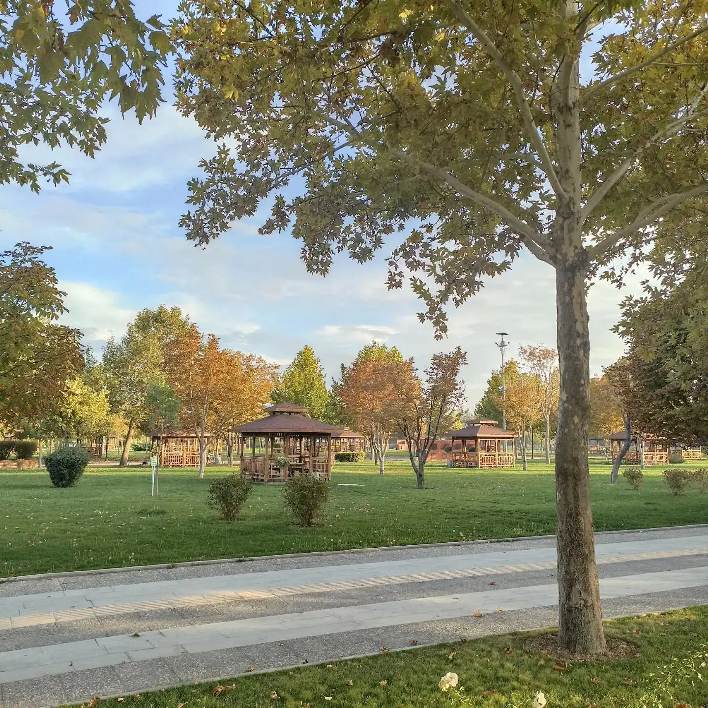 Karatay Şehir Parkı Mangal Alanları