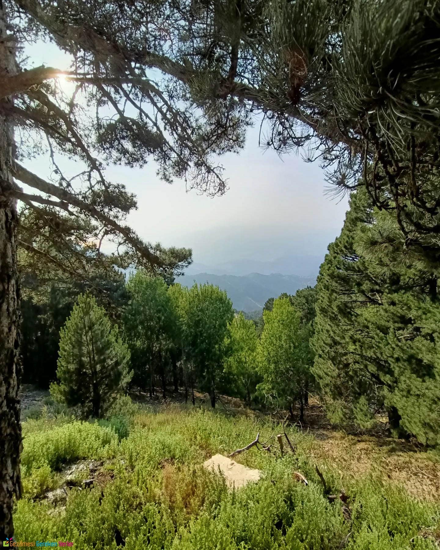 Nif Dağı