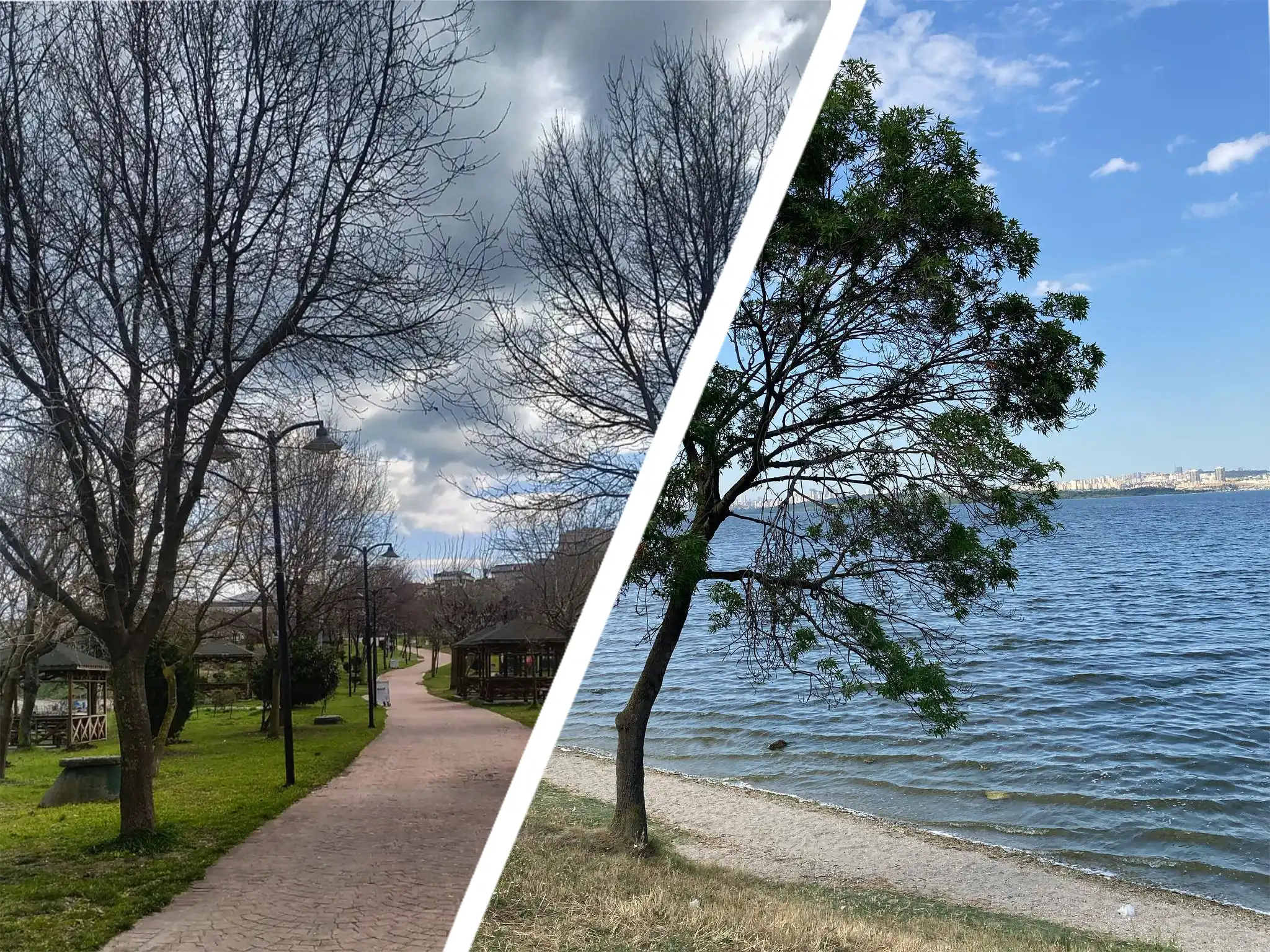 Paşaeli Kent Parkı