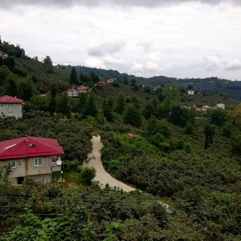 Gökçeali Köyü