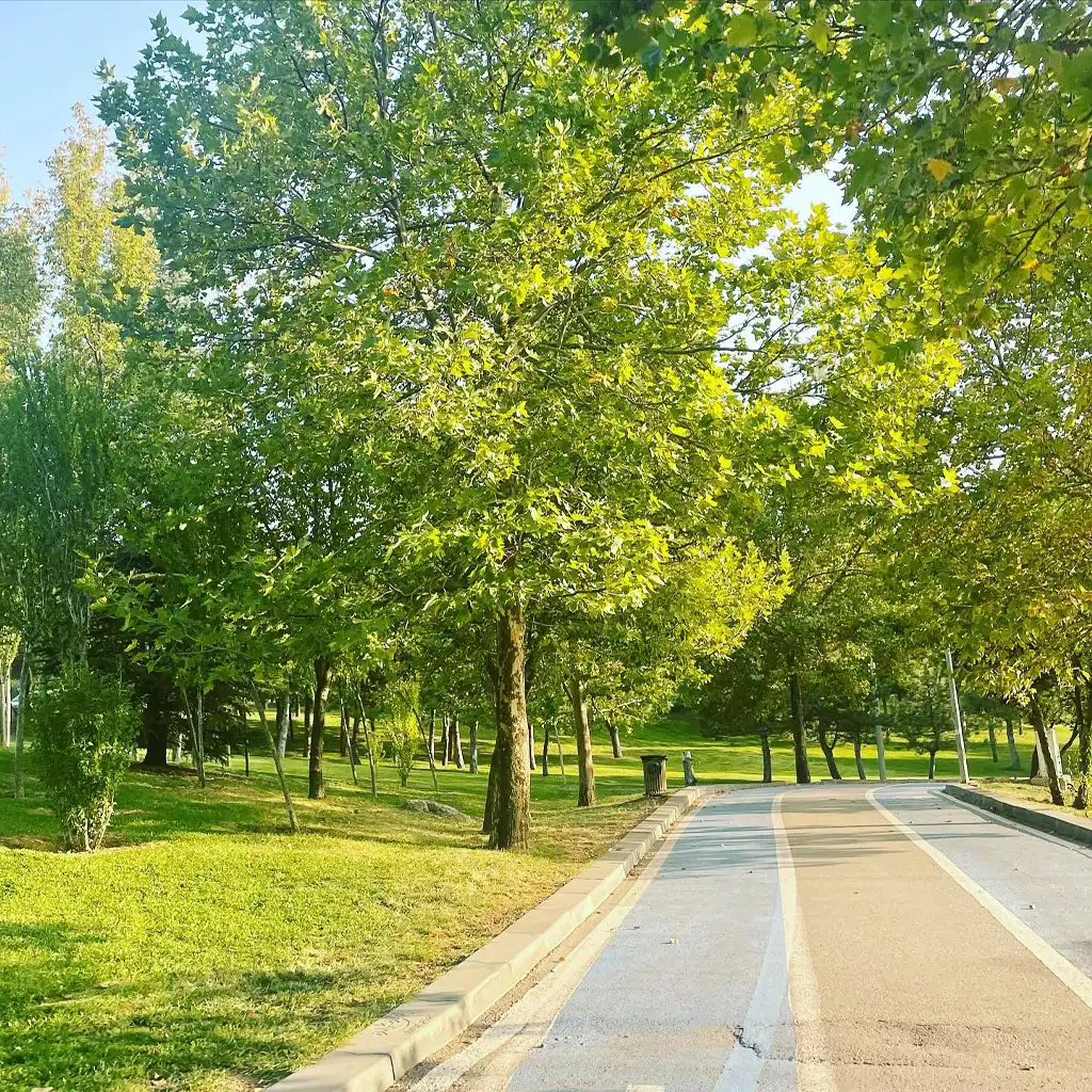 30 Ağustos Zafer Parkı Nerede ve Yürüyüş Yolu