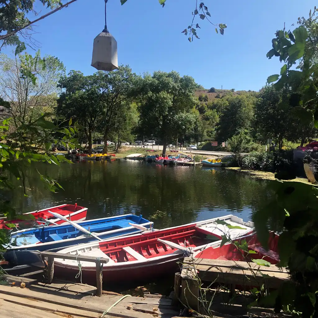 Salaş Camping