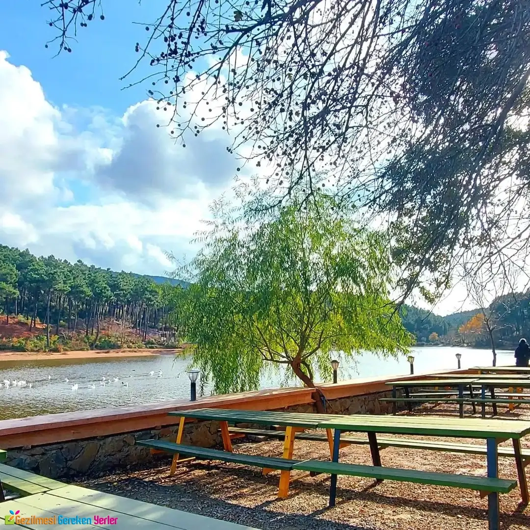 Aydos Ormanı Göl Piknik Alanı