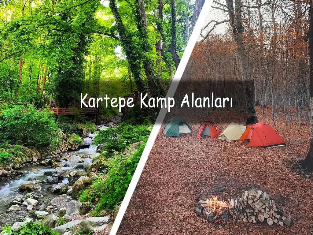Kartepe Kamp Alanları - Kocaeli