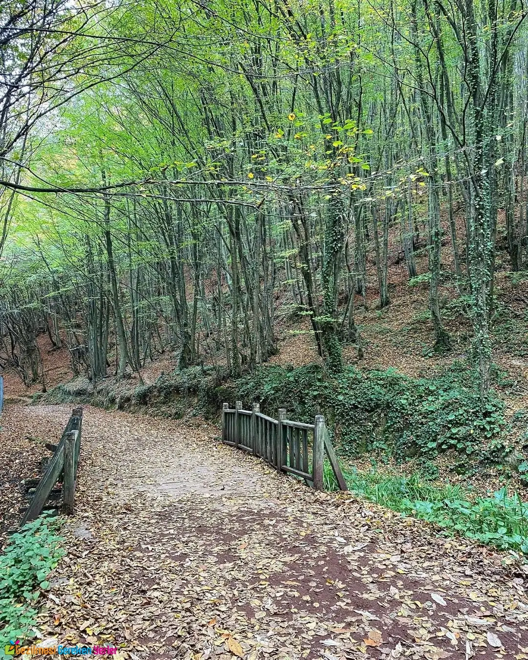 Polonezköy Tabiat Parkı