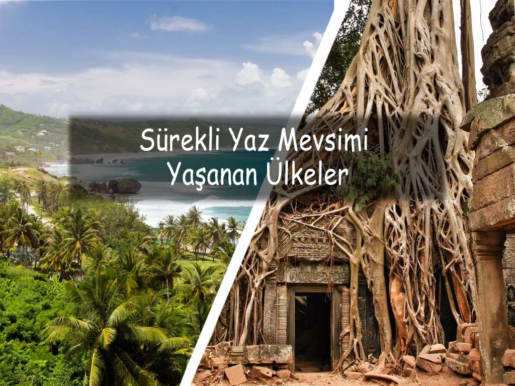Sürekli Yaz Mevsimi Yaşanan Ülkeler