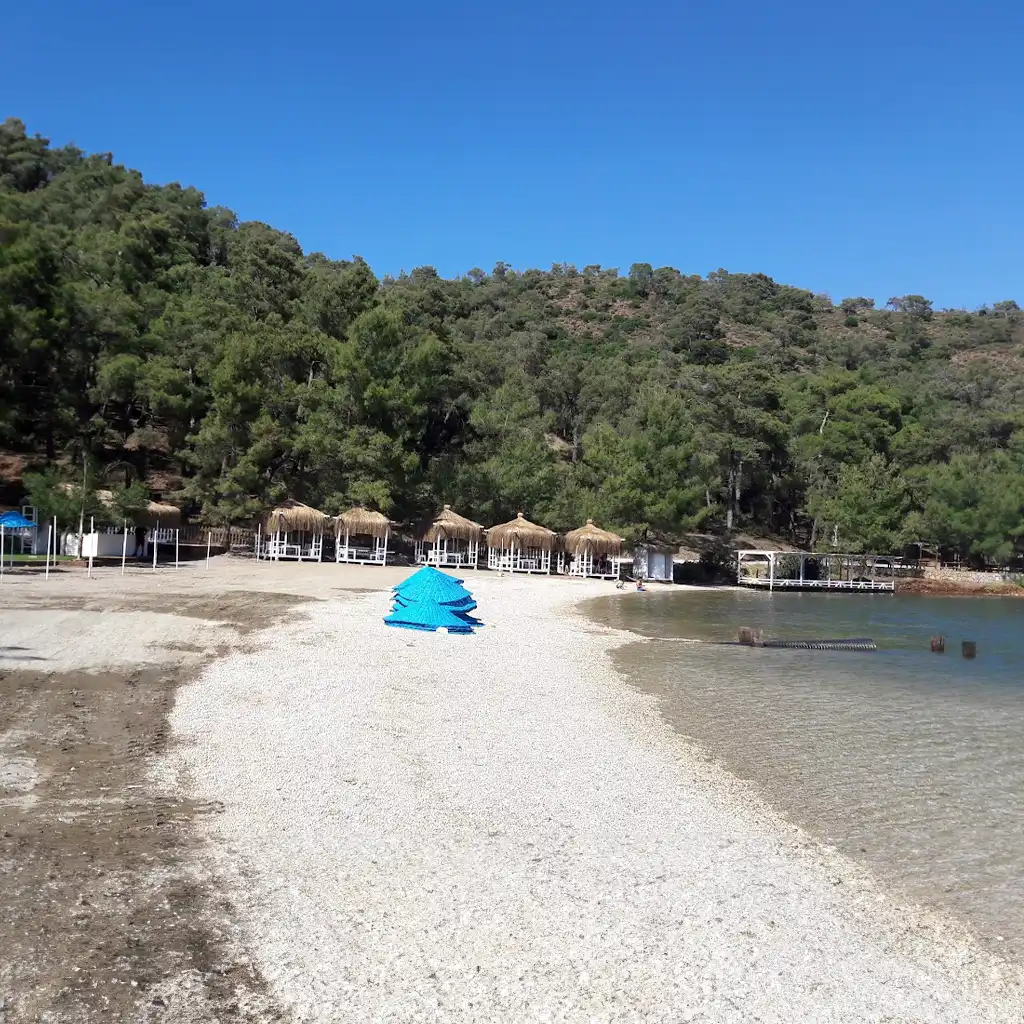 Aksazlar Koyu