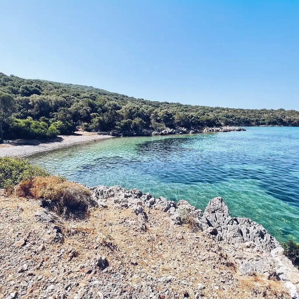 Akvaryum Koyu