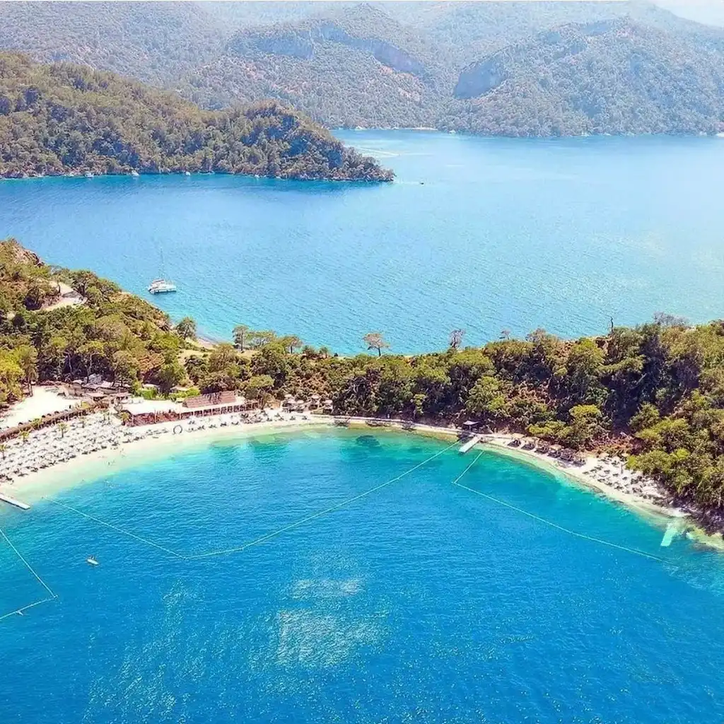 Mangal Koyu