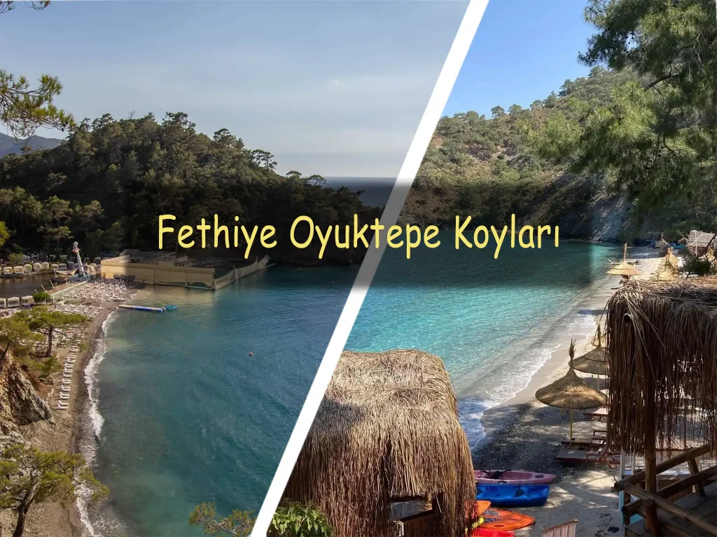 Muğla Oyuktepe Koyları