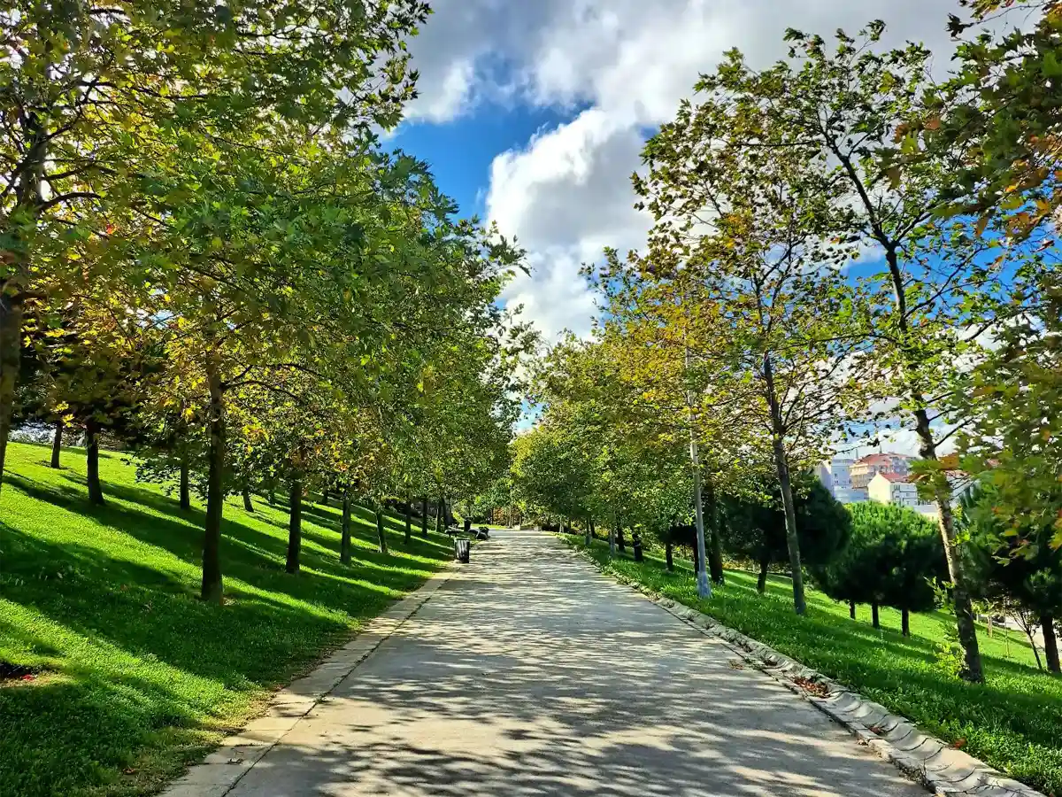 Arnavutköy Şehir Parkı | Nerede, Piknik Ve Oyun Alanları Arnavutköy Şehir Parkı | Nerede, Piknik Ve Oyun Alanları