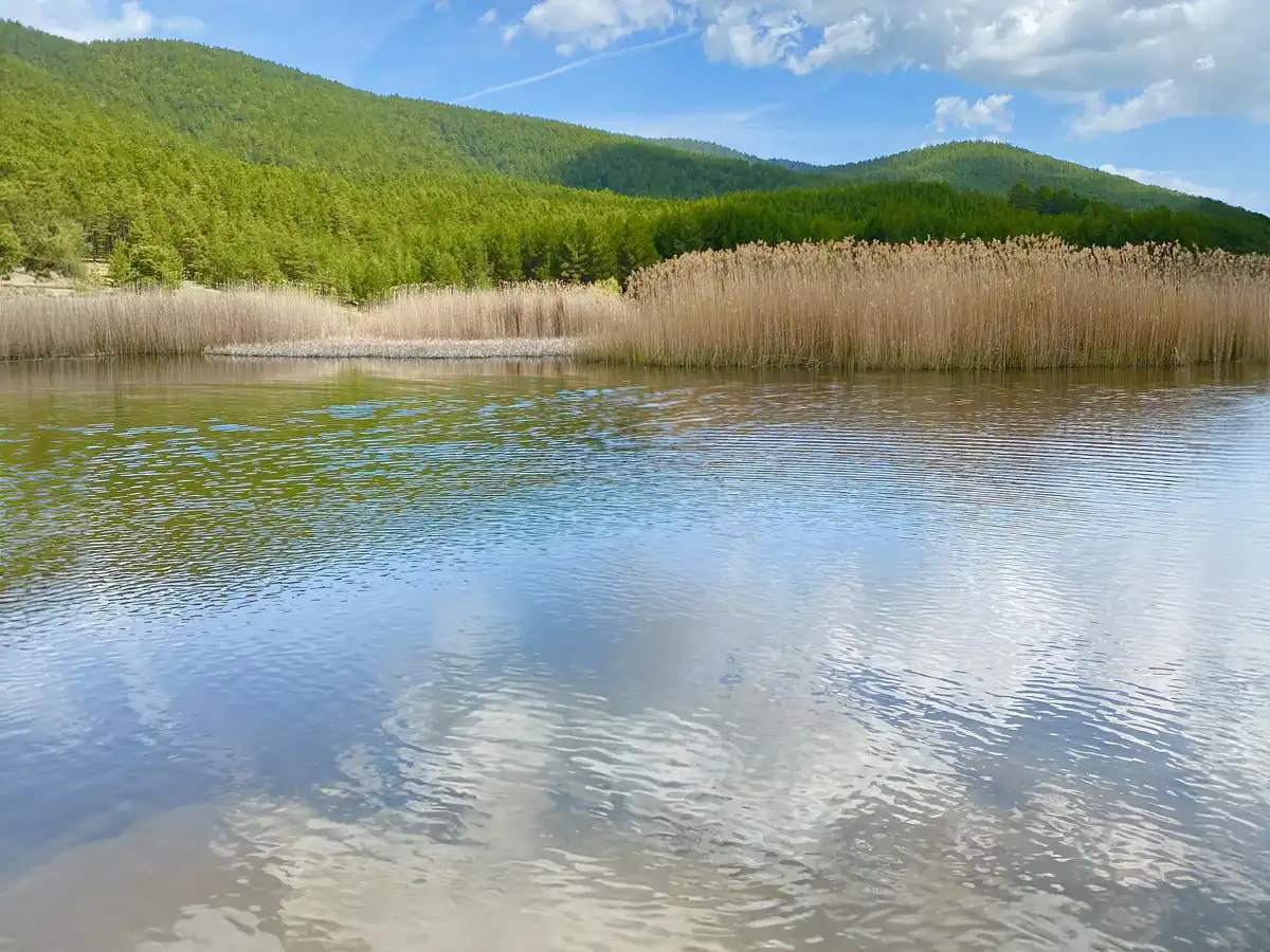 Çamkoru Tabiat Parkı