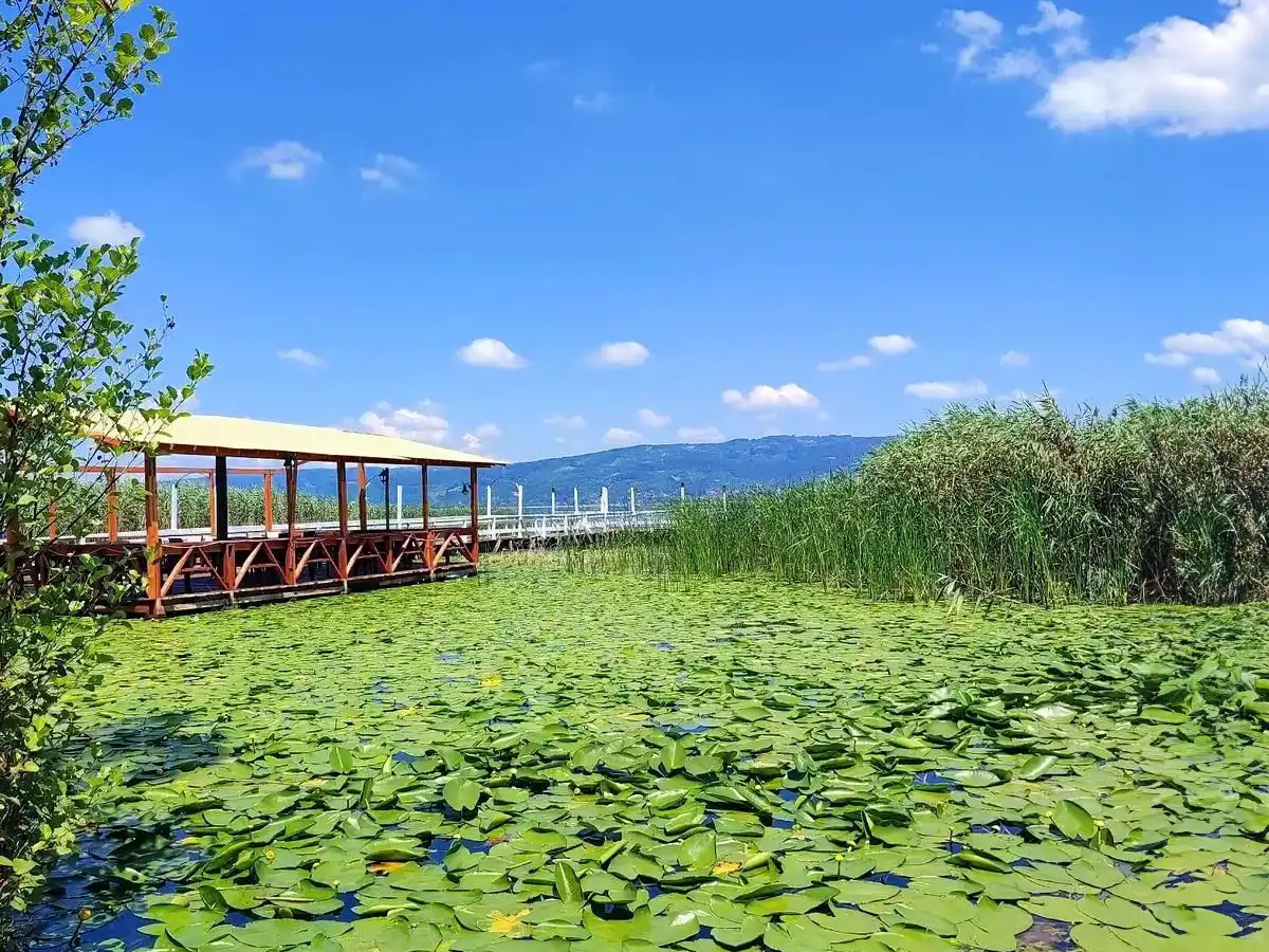 Sapanca Tatil Yerleri