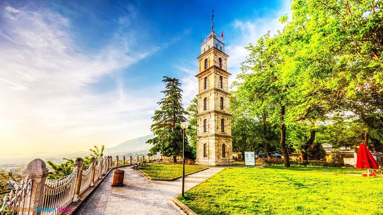 bursa