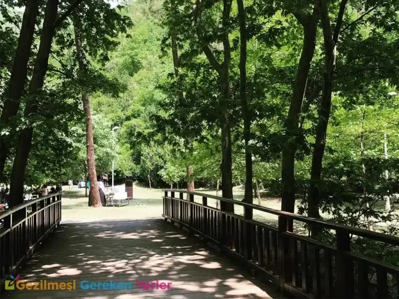 Çenedere Mesire Alanı