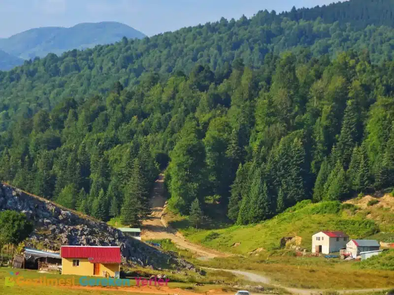 İnönü Yaylası