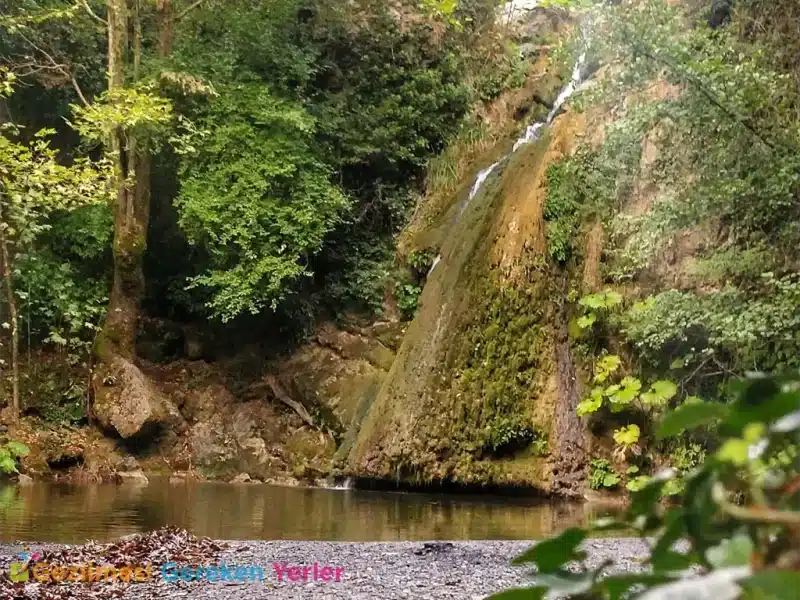 Kocaeli Kent Ormanı