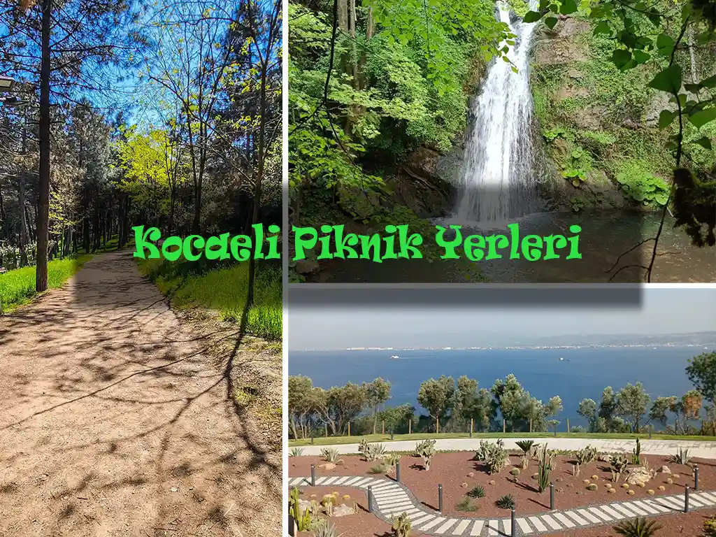 Kocaeli Piknik Yerleri | En Güzel 15 Mangal ve Piknik Alanı Kocaeli Piknik Alanları