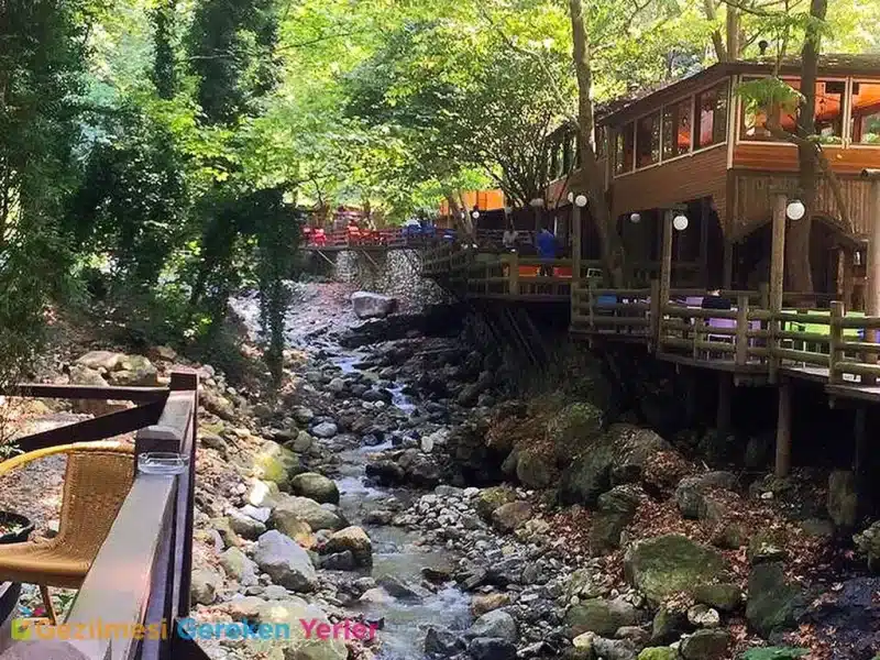 Maşukiye