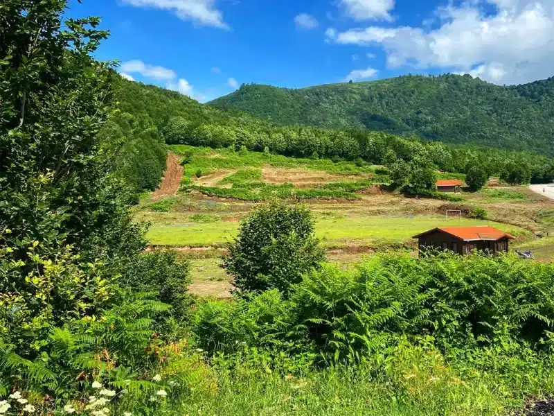 Suadiye Tabiat Parkı