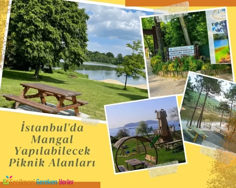 İstanbul’da Mangal Yapılabilecek Piknik Alanları İstanbul'da Mangal Yapılabilecek Piknik Alanları