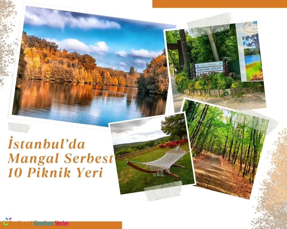 İstanbul Mangal Serbest Piknik Yeri
