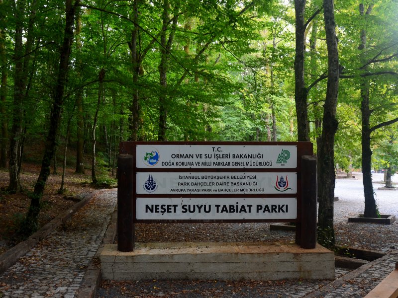 Belgrad Ormanı - Neşet Suyu