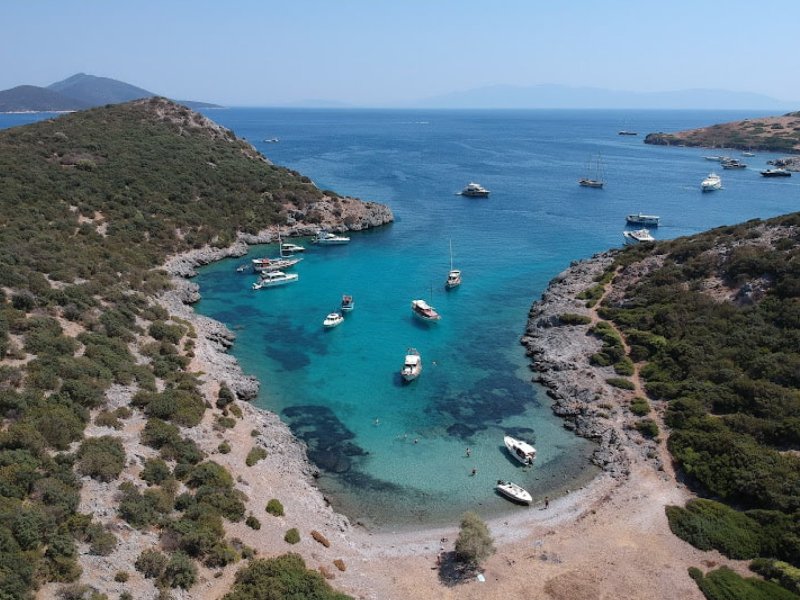 Akvaryum Koyu