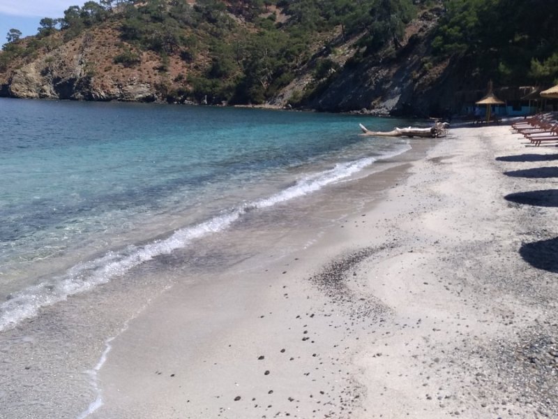 Küçük Boncuklu Koyu
