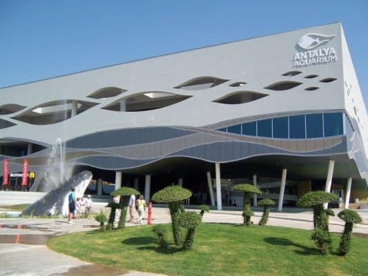 akvaryum01 e1373207828429