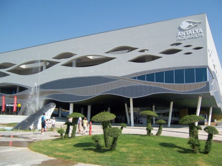 Antalya Aquarium | Nerede Nasıl Gidilir ve Yemek Yerleri